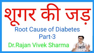 Root Cause of Diabetes mellitus 3Sugar  मधुमेह की जड़  Insulin  Doctor Rajan Vivek Hindi [upl. by Stutzman]