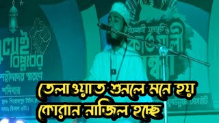 বিশ্বের সেরা কারী আবু রায়হান পিরোজপুরে কি করলো যা দেখে সব মানুষ মুগ্ধ হাঃক্বারী আবু রায়হানbest [upl. by Bigler]