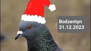 Bodzentyn 31122023Ostatni targ w tym roku Gołebie ozdobne pocztowe króliki papugi i inne [upl. by Niltyak]