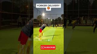 Yorker delivery indoor cricket 🎯🏏 cricket shorts [upl. by Ellinej]