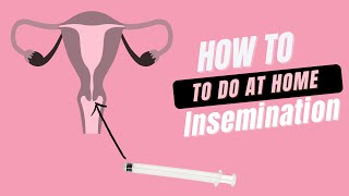 How to perform At Home Insemination [upl. by Darlleen]