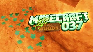 LIFE IN THE WOODS S01E037  Expeditionen ins Gierreich [upl. by Kellyann]