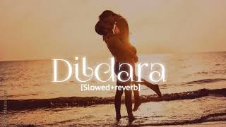 Dildara Song Slowed  Reverb 🎵 [upl. by Kerat960]