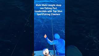 fish sportfish fishing fishingcharters deepseafishing sportfishingboat fishingtours outdoor [upl. by Nivalc]