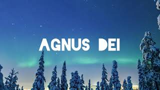 Agnus Dei  Michael W Smith  Instrumental Worship [upl. by Yeo]