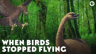 When Birds Stopped Flying [upl. by Ahseiyk]