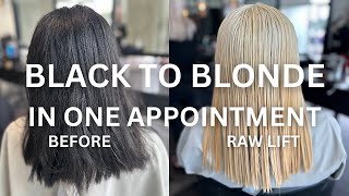 Epic Black to Blonde Hair Transformation OneDay Color Correction Tutorial [upl. by Llenyaj830]