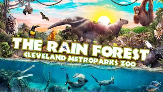 Zoo Tours The Rain Forest  Cleveland MetroParks Zoo [upl. by Gravante]