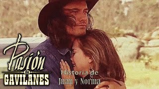 Pasion de Gavilanes PDG Juan y Norma 297 [upl. by Kablesh]