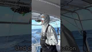 Tonga nach Neuseeland Tag 8 sailing adventure travel ocean food outdoors [upl. by Frieda424]