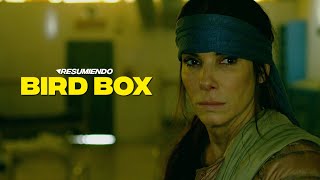 BIRD BOX A CIEGAS  RESUMEN en 13 minutos  NETFLIX [upl. by Jolie]