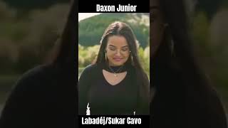 daxonjunior 🙌🎬DAXON JUNIOR  LabadéjSukar Cavo  VideoKlip 2024 🎬🙌 [upl. by Ellerahs629]