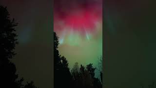 Dazzling Pink and Green Aurora Dances Above Manitoba [upl. by Berty]