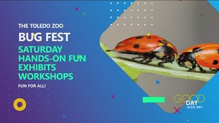 Toledo Zoo hosts quotBUGfestquot Saturday [upl. by Infield]