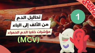 مؤشرات خلايا الدم الحمراء MCV  تحليل الدم الشامل 🩸🔬 [upl. by Ityak]