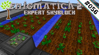 Mystische Felder 🌳 Enigmatica 2 Expert Skyblock 056 [upl. by Setsero793]