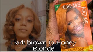 Crème of Nature Honey Blonde🍁 on dark brown virgin hair [upl. by Eirellam]