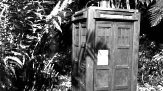 TARDIS TEST VIDEO mono [upl. by Elyad140]