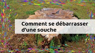 Comment se débarrasser d’une souche [upl. by Adnirem]