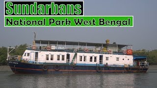 Sundarbans National Park West Bengal  All about journey on ship [upl. by Galvan]