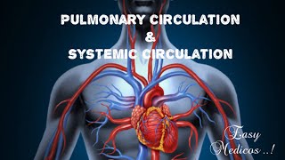 Pulmonary and systemic circulation  in malayalam [upl. by Leerzej]