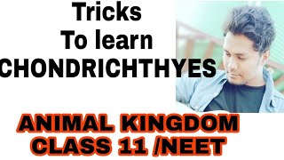 Tricks to learn the examples of CHONDRICHTHYES NCERT CLASS 11 ANIMAL KINGDOM IMP FOR NEET [upl. by Dnana]