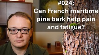 024  Can French maritime pine bark help pain and fatigue [upl. by Stiegler]