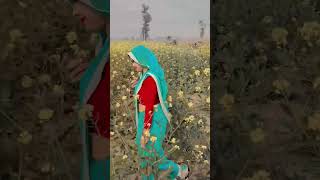 naino mein Sapna sapno mein sajna pe Dil Aa Gaya [upl. by Jen]