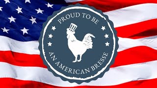 Freedom Chicken American Bresse [upl. by Newo408]