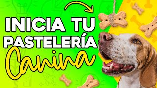 COMO INICIAR Una PASTELERÍA CANINA Y FELINA Paso a Paso 🦴️ [upl. by Nnylatsyrc895]