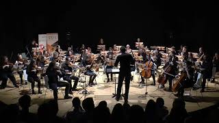 Danse Hongroise n°5  Johannes Brahms [upl. by Minier]