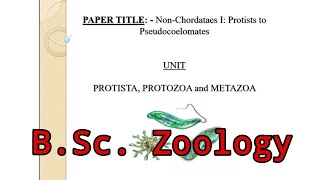 Lec 1  Non Chordate  Protista Protozoa Metazoa  Major Paper  Zoology  BSc 1st semester  UGC [upl. by Lais501]