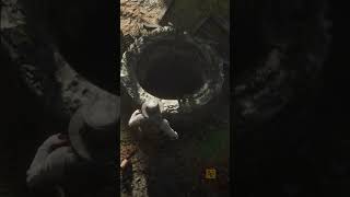 Secret Loot at Empty well RDR2 trending shortvideo shorts rdr2 gaming gameplay rdr [upl. by Atinuhs]