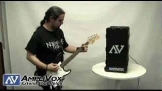 Guitar Amp and Portable PA System Great for Live Sound  Wireless Bass Amplifier [upl. by Anek34]