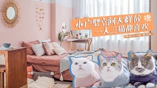 Eng Sub小戶型改造 拯救一人三貓的棲息地丨Apartment makeover for one person and three cats [upl. by Odicalp]