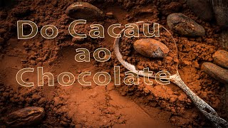 Do Cacau ao Chocolate [upl. by Thanh]