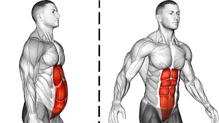 Say goodbye to a sixpack if you dont do these exercises [upl. by Hgielhsa]