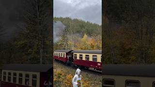 Train 🚆🚂 ghost scary ghostonroad creepy ghostattack ghostlover horrorstories train [upl. by Koppel]