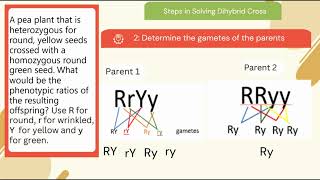 Dihybrid Cross Grade 8 Science [upl. by Lewan]