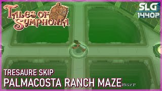 Tales Of Symphonia  Palmacosta Radar Maze Guide Treasure Skip 60fps 25K [upl. by Nilhsa]