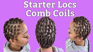 Starter Locs Tutorial  How To Start Locs On Short Hair [upl. by Drofkcor]