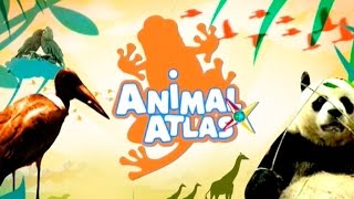 Animal Atlas Show Opener [upl. by Paxton609]