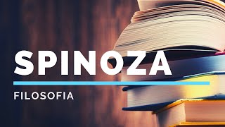 2 Spinoza la concezione di filosofia [upl. by Ilrebmik346]