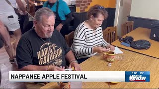 Nappanee Apple Festival underway this weekend [upl. by Abrahams390]