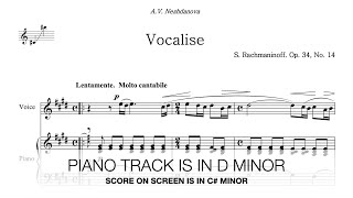 Vocalise S Rachmaninoff  D Minor Piano Accompaniment Viewer Request [upl. by Niad]