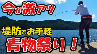 青物釣り初心者でも堤防で手軽に青物が釣れる！夏のスーパーライトショアジギングが超おすすめ！！ [upl. by Hutner87]