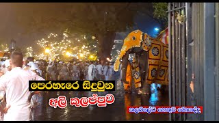 Esala Perahera  කලබල කරපු අලින්ට මොකද උනේ  Kandy Perahera [upl. by Jecoa]