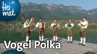 Traminer Tanzlmusig Vogel Polka  Musik in den Bergen l BR Heimat  die beste Volksmusik [upl. by Aramen804]