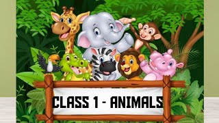 EVS  CLASS1  ANIMAL LIFE  ENGLISH LANGUAGE [upl. by Rozamond]