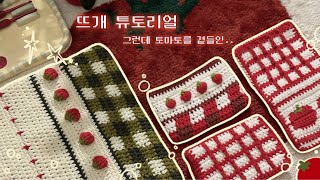 뜨개 튜토리얼 │ 토마토췤파우치 그리고 카드지갑 ノ ́ヮ ́ノ♥ ◦ 뜨개튜토리얼 ◦ 체크파우치 ◦ 뜨개지갑 ◦ 토마토뜨개 ◦ [upl. by Adriell]